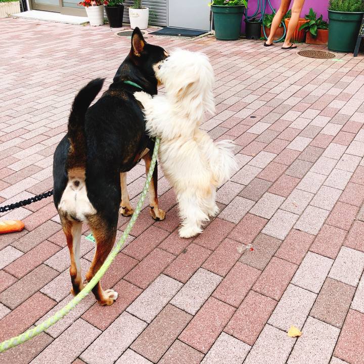 3819f08f 1797 4a05 ad55 f8d88031dc32 1537688446021