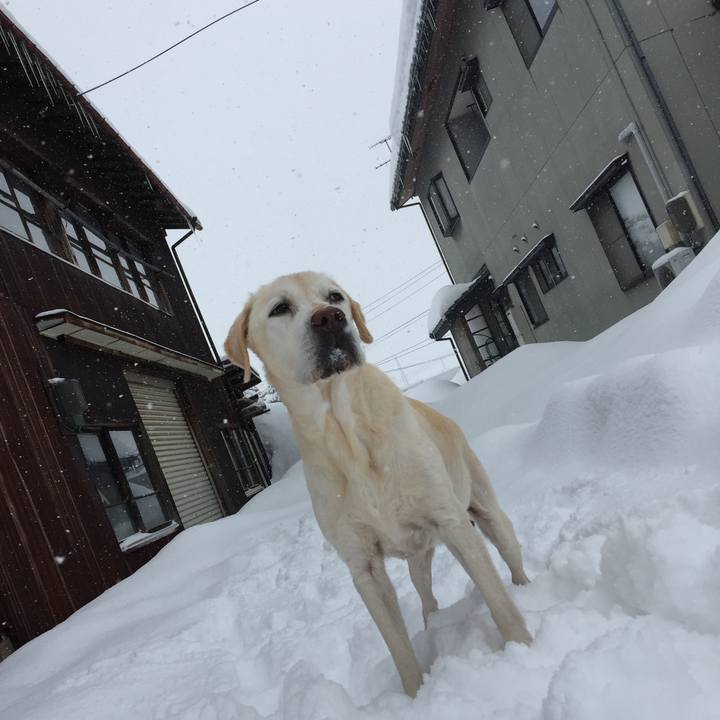 381aa590 7089 420e 9a36 08195141f2ce 1518487595575