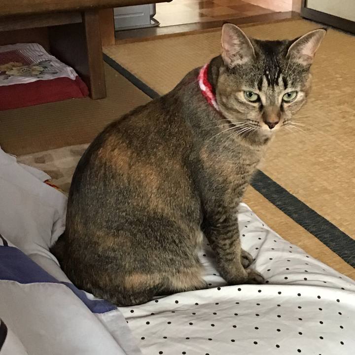 381b1af6 87dc 42ec 9790 93bd56bcf968 1604802069654