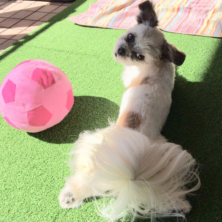 381b3d6a 9fa6 4a22 8536 b7847c3c7f9b 1519954023140