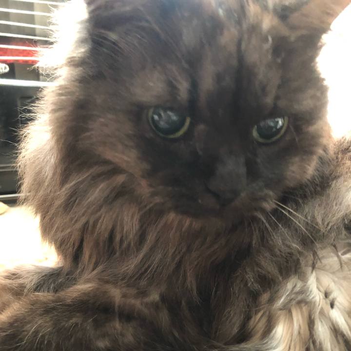 381b3d9c c129 4f50 bb5d 379016d94584 1545350255786