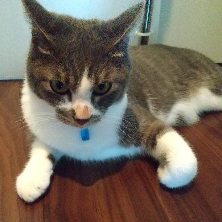 381b45d1 7232 4cab 8e4d 996581a1160a 1601079476772