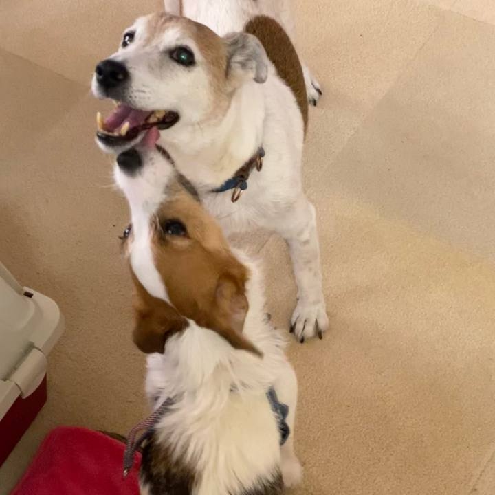 381b68d3 8796 4b3c 9abd e975b3583b38 1625446003521