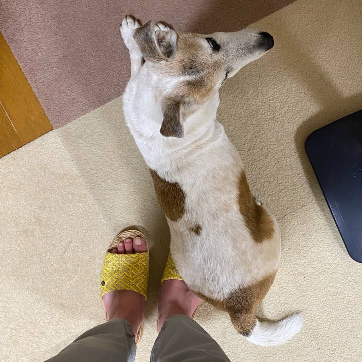 381b7665 100c 486b 808f 218a97cde735 1687722780883