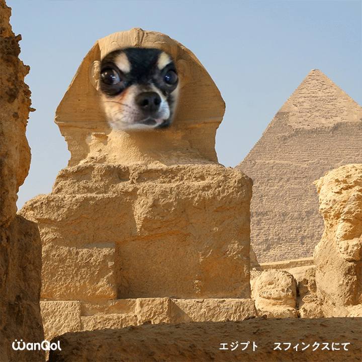 381b93b4 78b9 4e77 a9b1 af52e7bfdb77 1615293291824