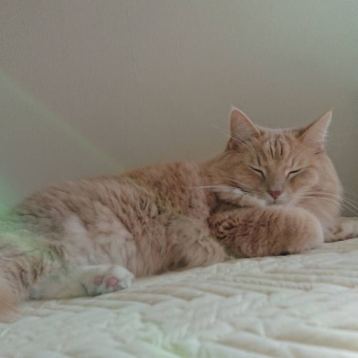 381ba689 90f6 4277 b765 a7c5a5a3a134 1517886131373