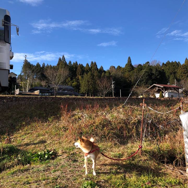 381bc777 9e3a 4c4c 9cb5 63270a4d67ea 1544346365108