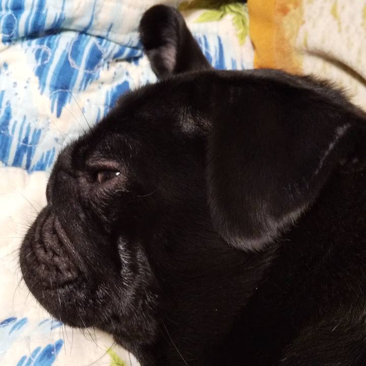 381bfc43 2fa5 4ea0 a59b 49e4b718f872 1563208276254