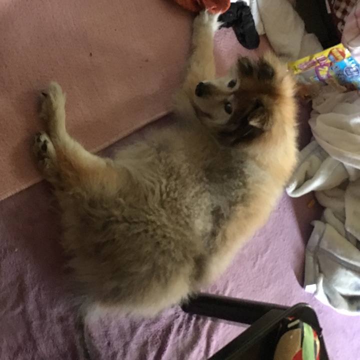 381c0a24 b18b 439a 8265 e1ab8f01788d 1595168454595