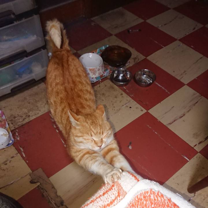 381c7ed4 1fd3 46dd 8960 f905ea569090 1586380868667