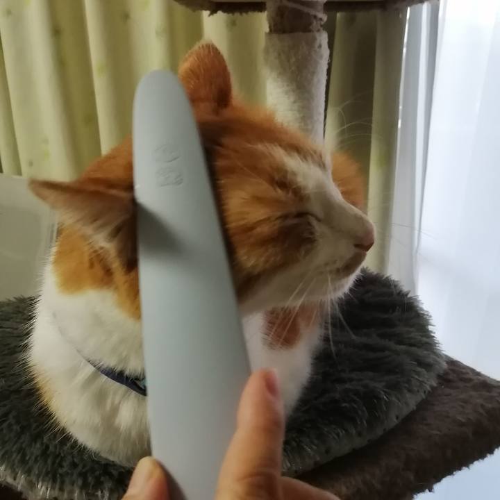 381cd7e3 5ce4 483d bdd4 7afd661556a7 1610750417508