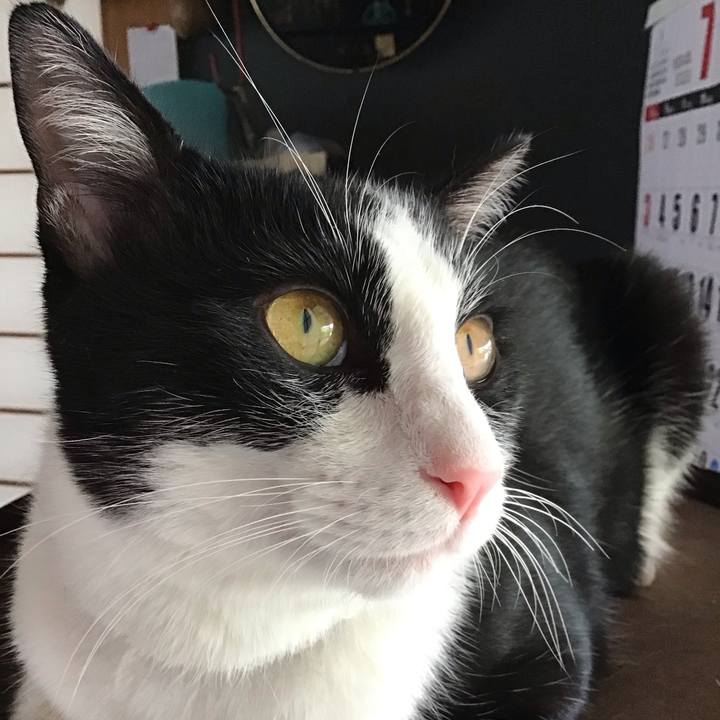 381cf1da 919d 4329 b628 b7b301a8609b 1656758152453