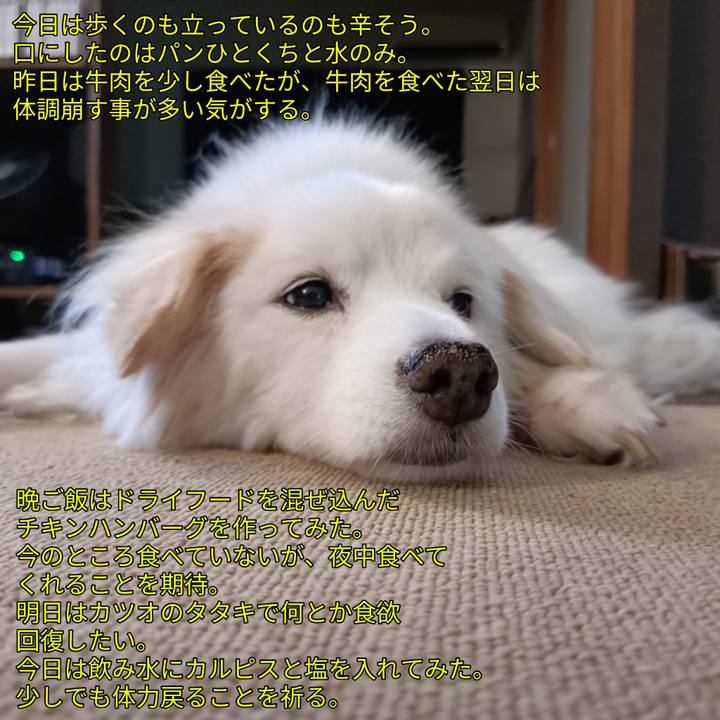 381d059d b412 4d49 a552 5b3079a869fd 1756560329081