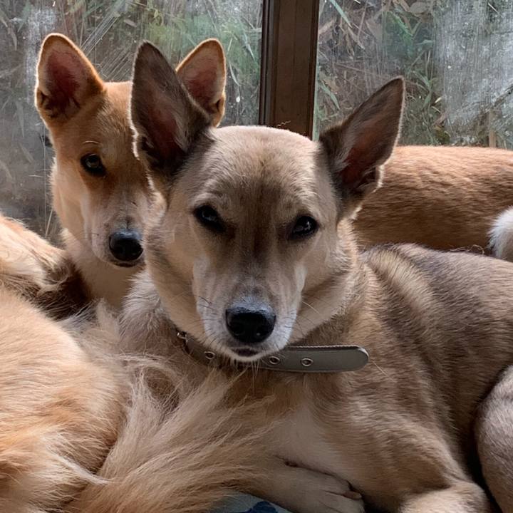 381d069d d76e 4147 aa53 78befec0c8de 1578706688100