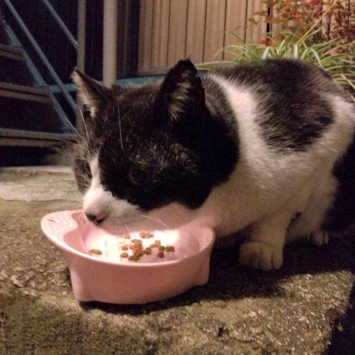 381d28c9 f443 4bdc 8c34 d1a71cc0c76f 1703247644258