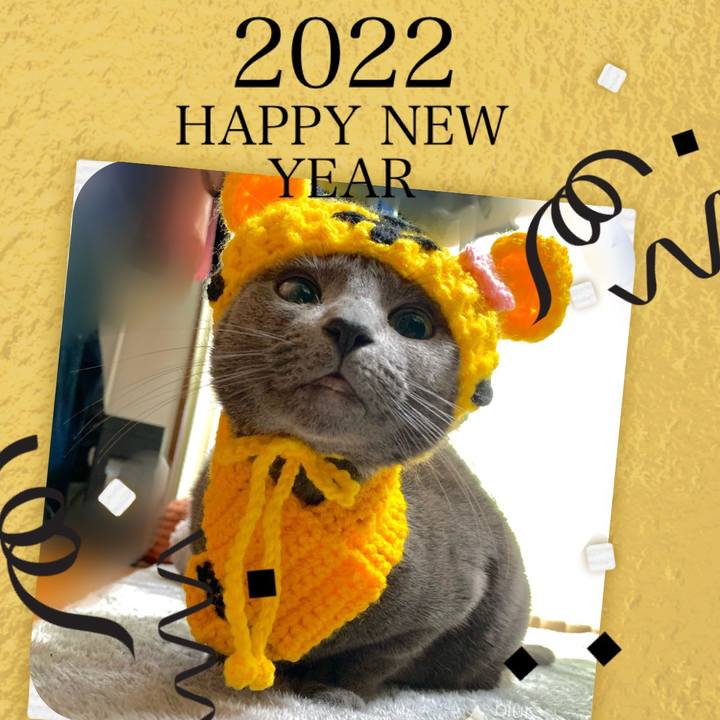 381d484a 8413 41a2 b005 af041d39cd1d 1640990849512