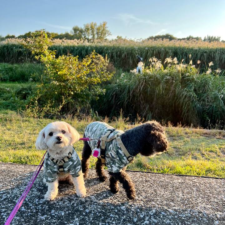 381d7ed5 324f 4d92 8a5f 86c427b6ed2f 1761811884794