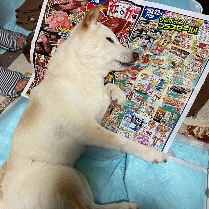 381d81a5 22ee 48ec 975d 2dfff6d8374b 1657938892061