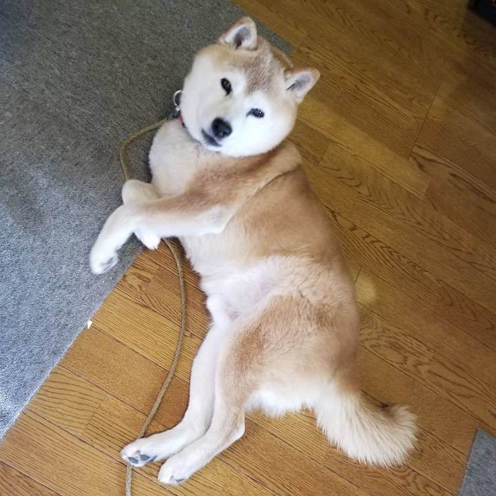 381d9361 6e71 47a9 8b37 9a2ae748360e 1709420413627