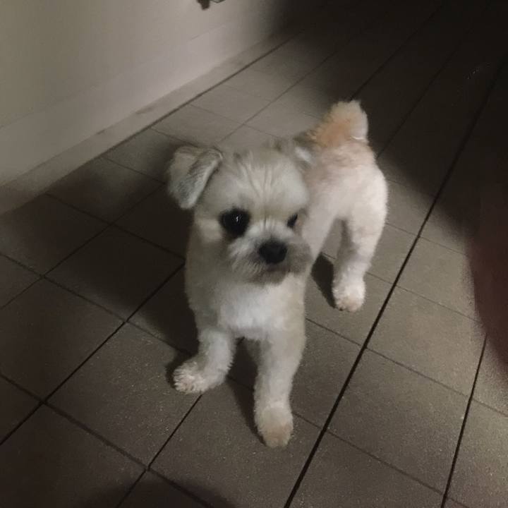 381d9760 bf9e 45fa b23a 02f88ddba8bd 1533560492319