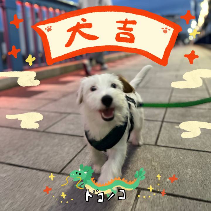 381da142 7110 4cee a53f d9c33a5cc18b 1704176403383