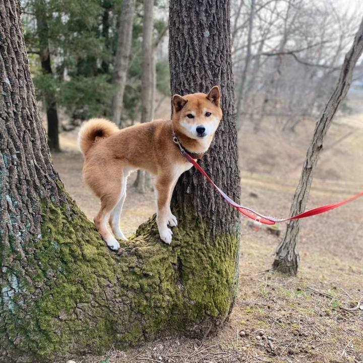 381dde5b 2e5b 4c45 8473 992265e765da 1613116596630