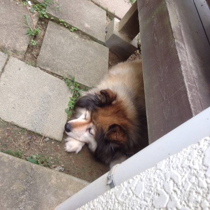 381e05cc 7557 43f1 bc8e c1ab7fb909c3 1558743825595