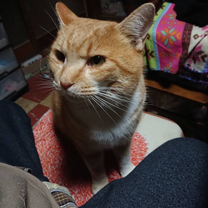 381e08c9 47a5 4105 91fb 986881692795 1577997646595