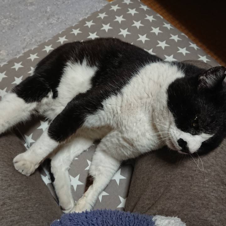 381e08ed 2517 461e ae95 ba72442c0187 1649324707286