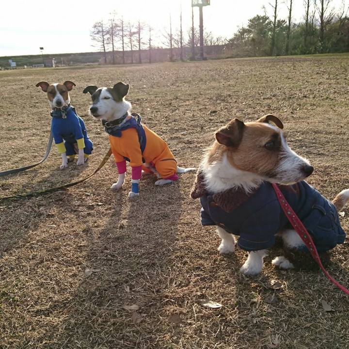 381e0967 8183 40df 8ab8 7ed68ac34c04 1546076275400