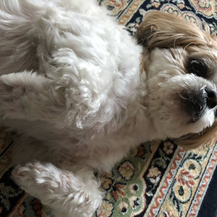 381e15da d199 4c6f ae11 e71145292202 1561412849311