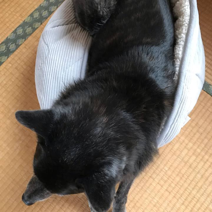 381e4f10 75a6 4425 a573 6ca2b67ce51d 1580566876690