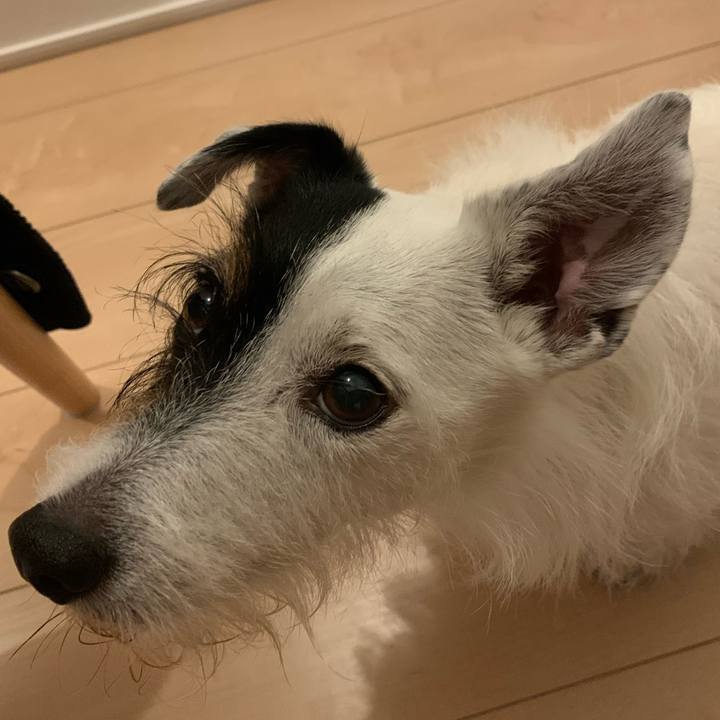 381e634b ebf3 4621 b614 e53e5dc1eadf 1692530396621