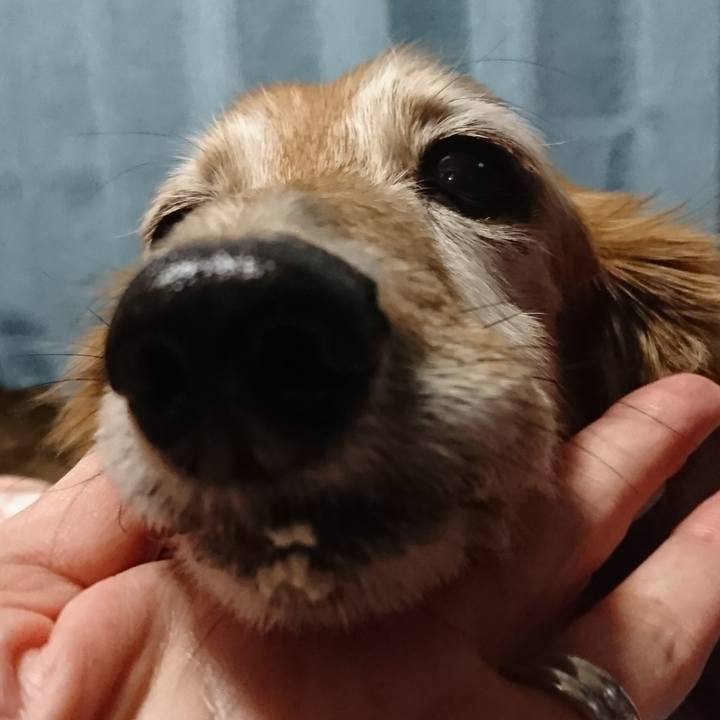 381ea0a9 3ea0 4c6b a1b7 b58e3587615e 1513760253403