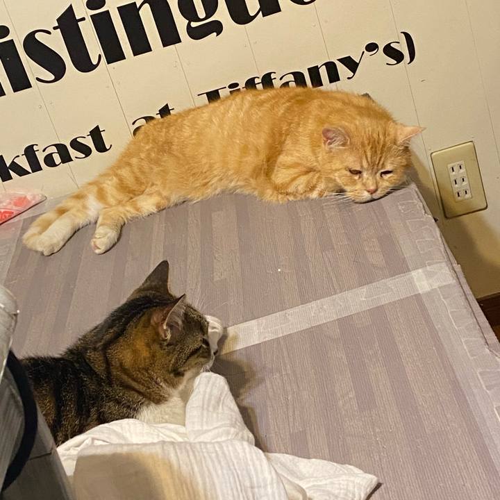 381eb484 7d1f 403e bedf c260e4cb66f2 1621610518707