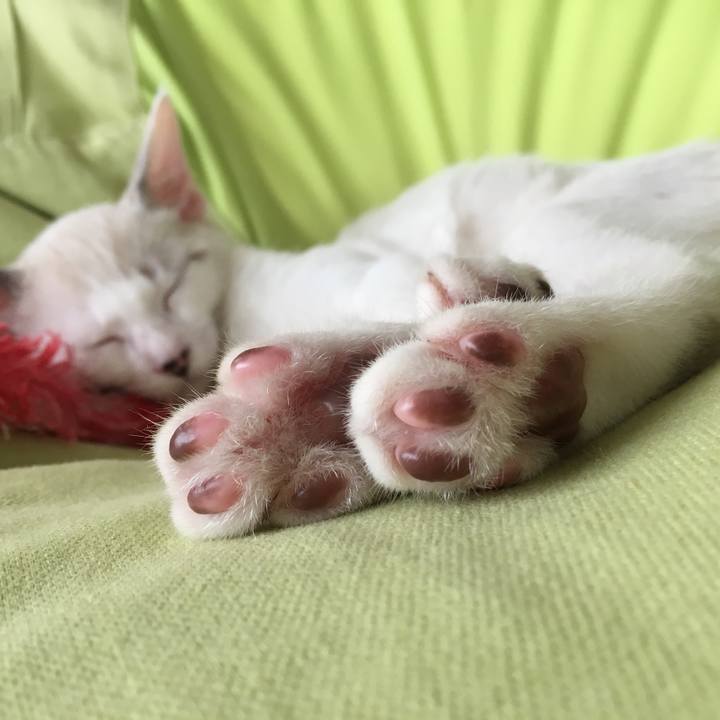 381ebec8 1e77 4514 a98d 03e2a824dd6a 1533430317389