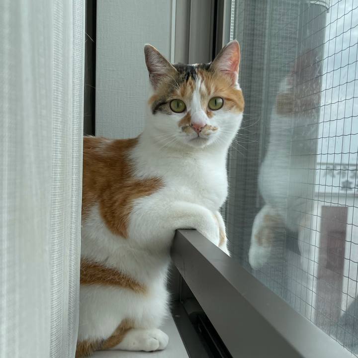 381eca5f 923a 4775 87e2 57c459e4f8d3 1621211218509