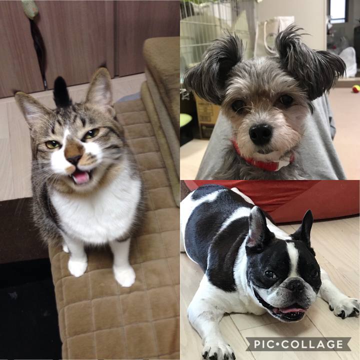 381f0ce3 61af 4a79 9ac7 70885ef8e2eb 1540710634245