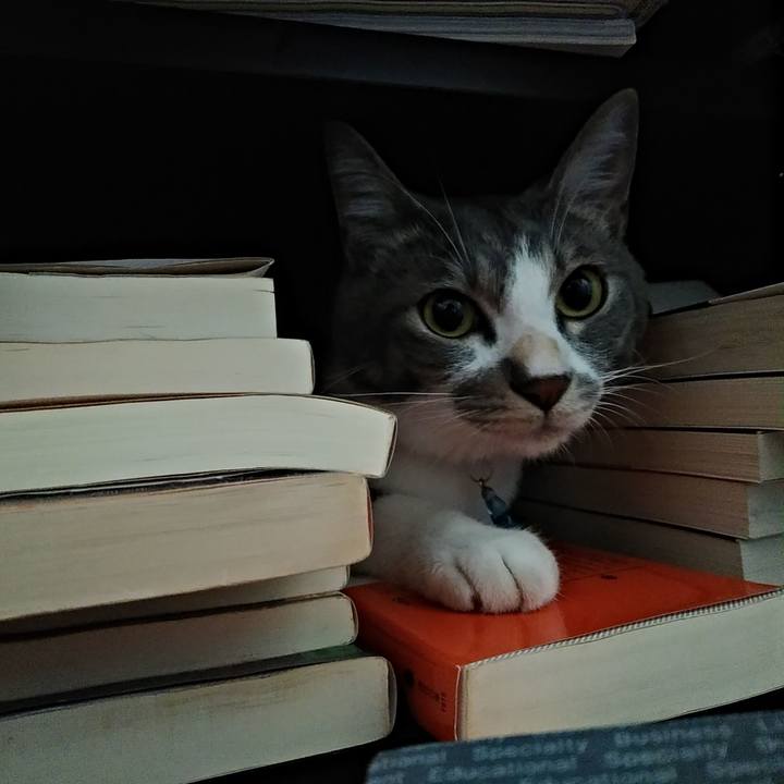 381f1c7c 0bf1 4159 8d7d d1877714814d 1592779748578