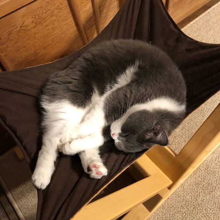 381f5584 67b0 4c8c a58d d344893bef65 1558586462864