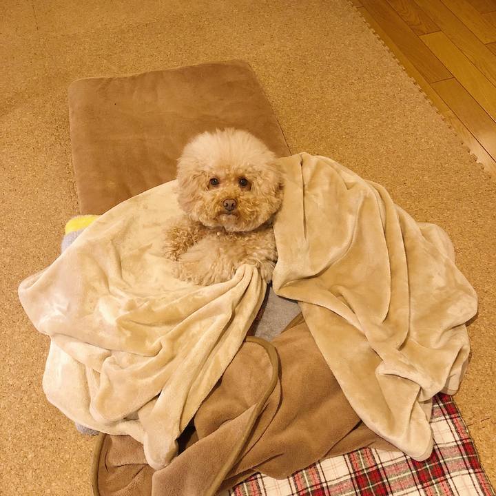 381fd424 2cbd 45eb 8a80 b2e9a9f69b01 1516850455143