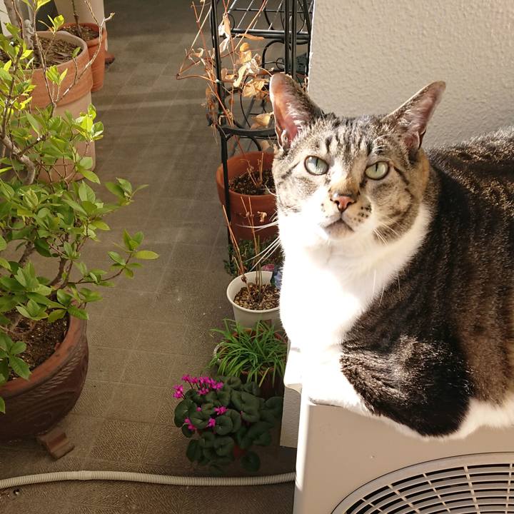 381fda1c dbe6 45b5 8472 46963246f2a6 1583187518638