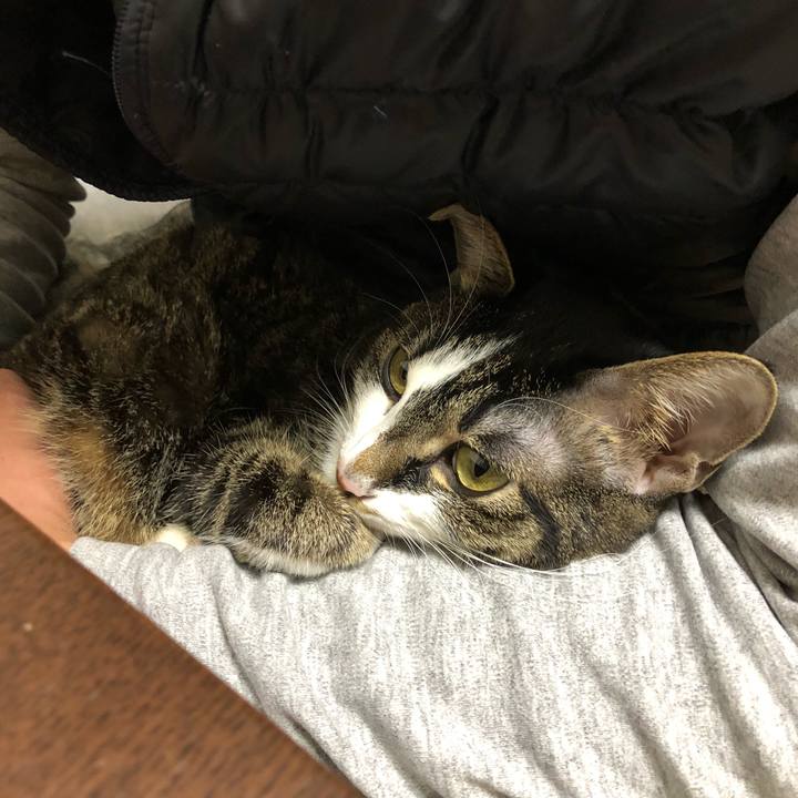 381fede4 00f7 473d bd36 0cb4c0a5af0e 1515994872881