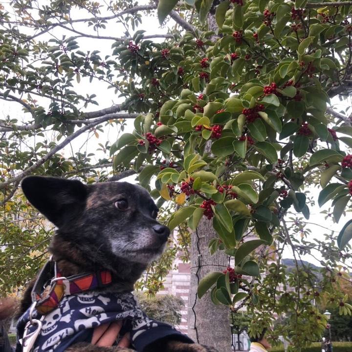 38202600 9a6d 4ce8 a78e 4891222514b2 1544710196588