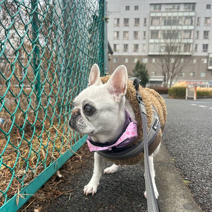 38204921 e093 40f0 a2d5 89617f9296fc 1770795484894