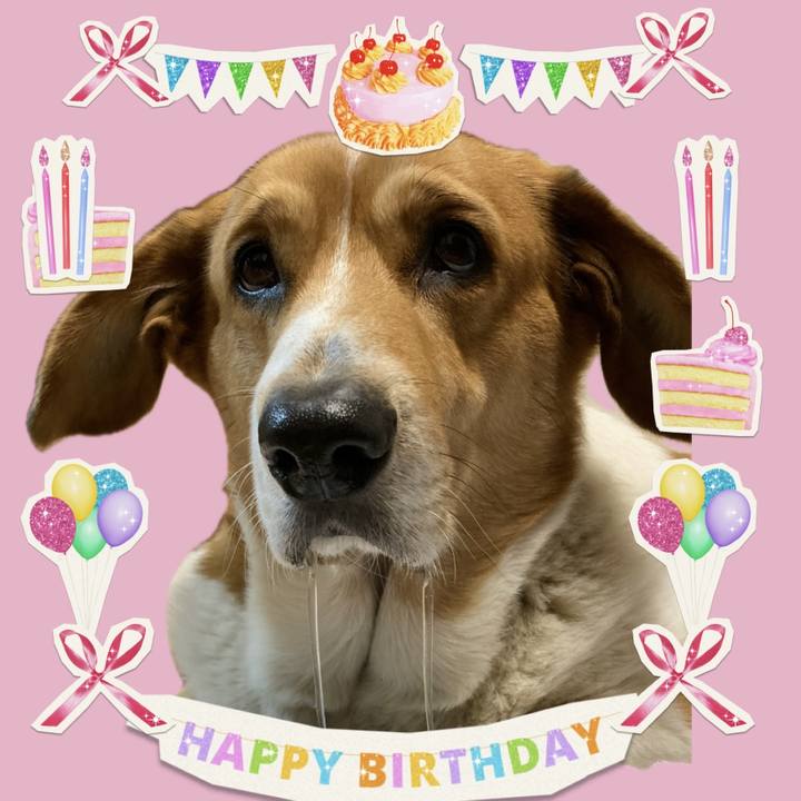 3820557a 4d2a 4923 a4c7 a2391b845f9c 1740350452172