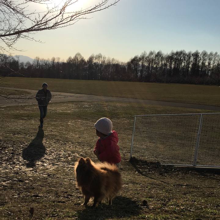 38205a54 0c42 4cf4 b2c0 5a89878f9b31 1522503906096