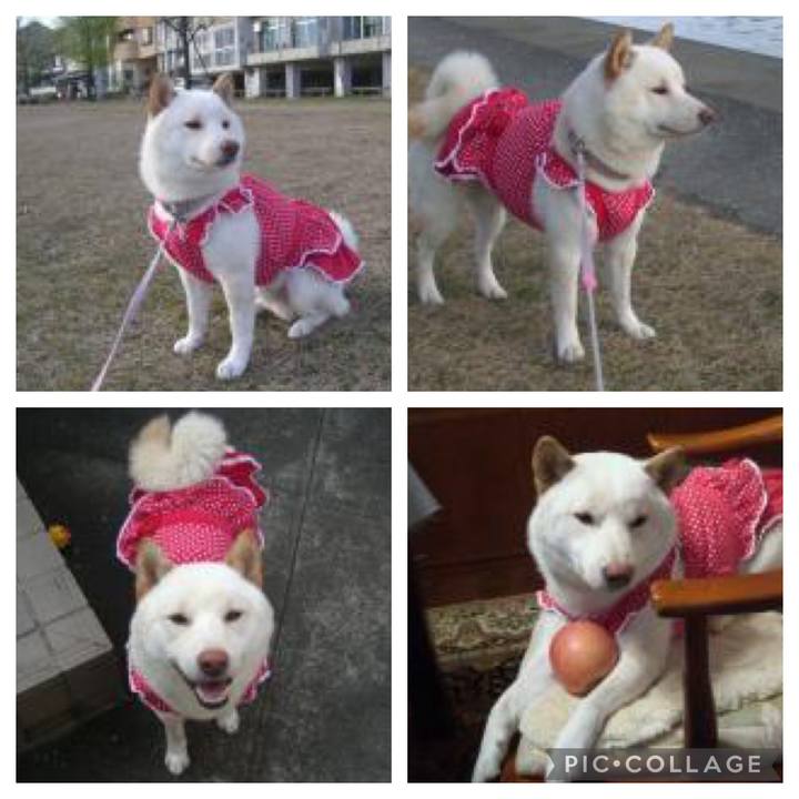 38205e19 1d1c 4640 a53d 16a52b0b0a88 1647896211795