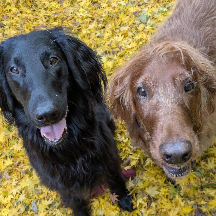 38207441 2536 43bf a895 4f152e0b6b9b 1764380798651