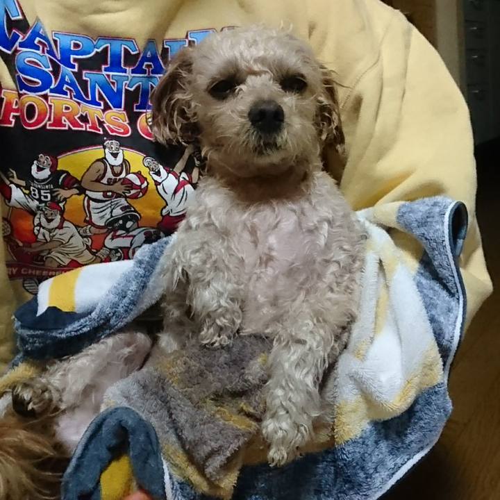 38208d64 0387 40ff af64 f5a2f7299c2a 1573384244110